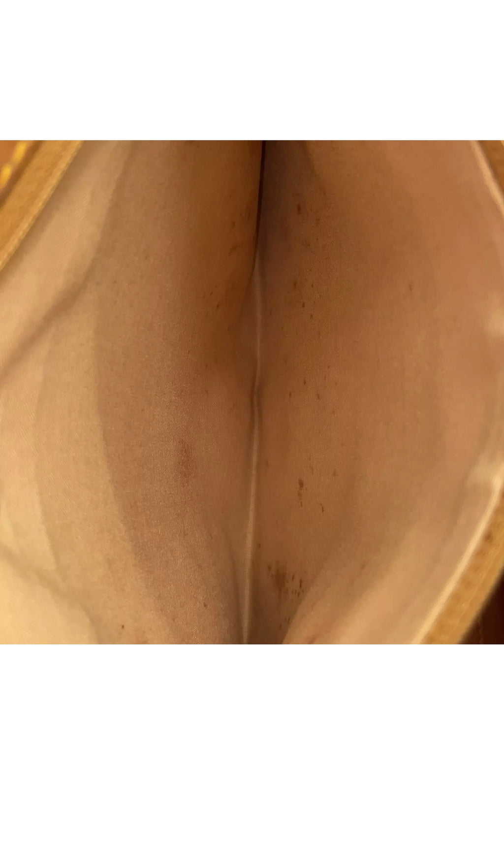 Pre-owned Authentic Alviero Martini Crossbody